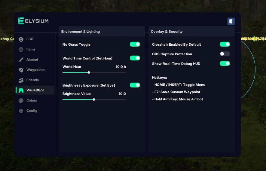 DayZ cheat visual settings with no grass, world time and brightness